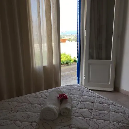 Sis Aidonia (Andros)